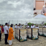 બન્નીમાં ૨૦ કાળિયાર ગ્રાસલેન્ડમાં છોડાયા